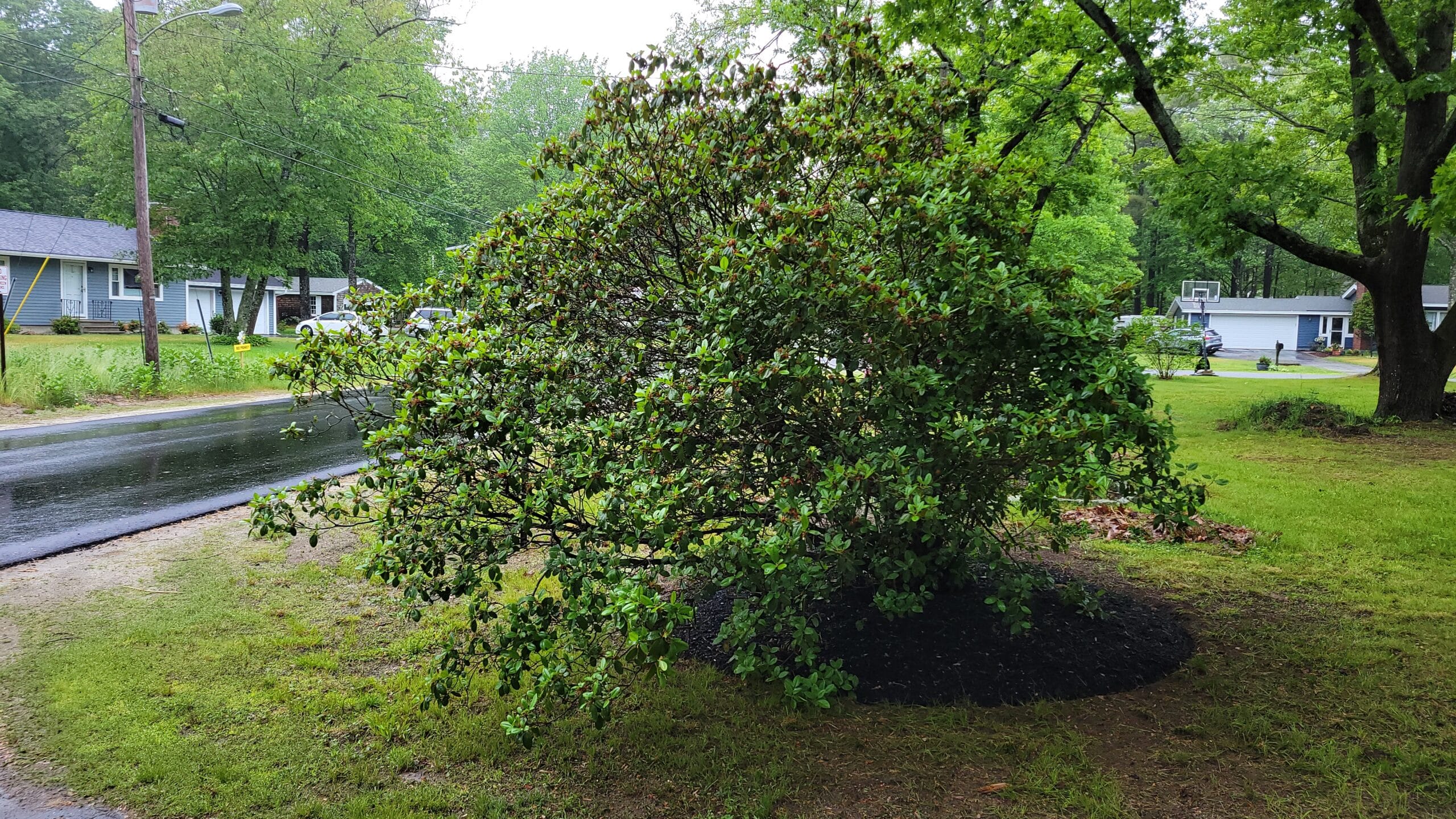 Bob Lemieux Landscaping 53 Landscaping Company Bob Lemieux